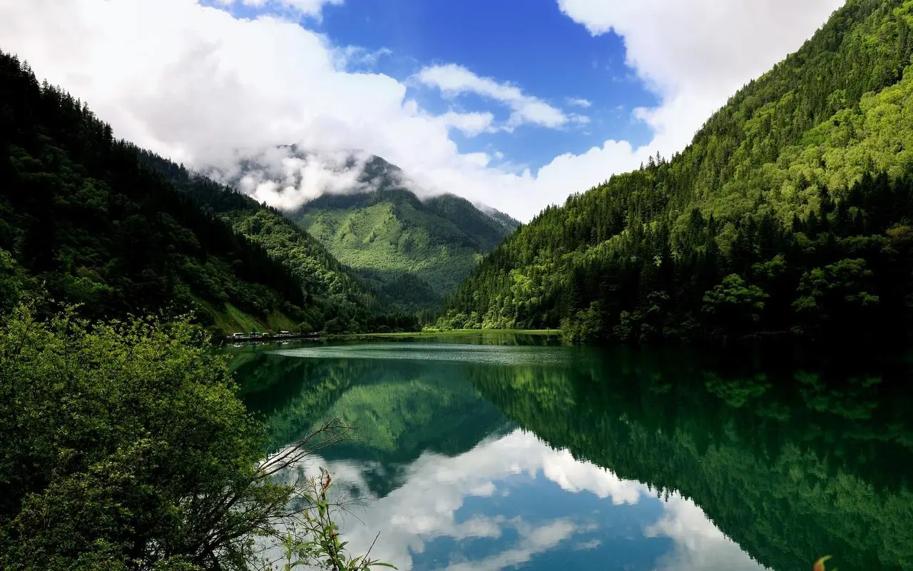 高效高性能高精度